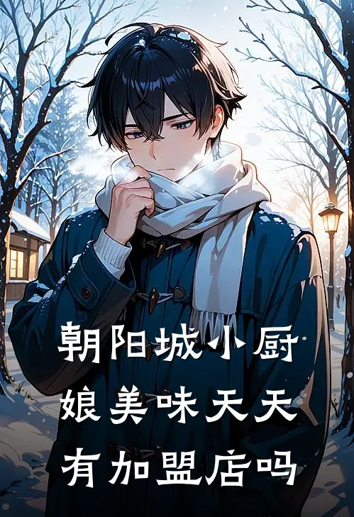 朝阳城小厨娘美味天天有加盟店吗