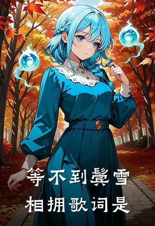 等不到鬓雪相拥歌词是
